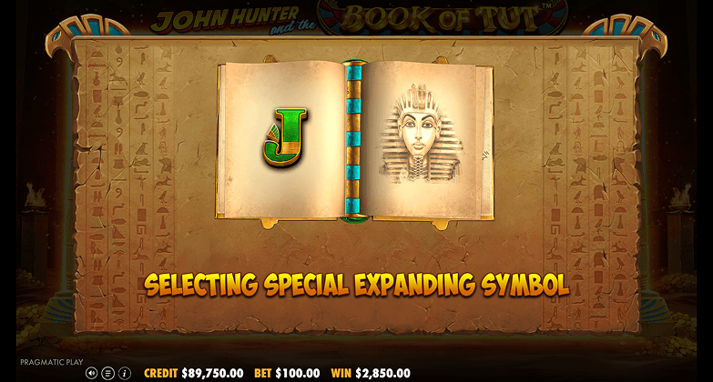 Ce este Book of Tut Demo?